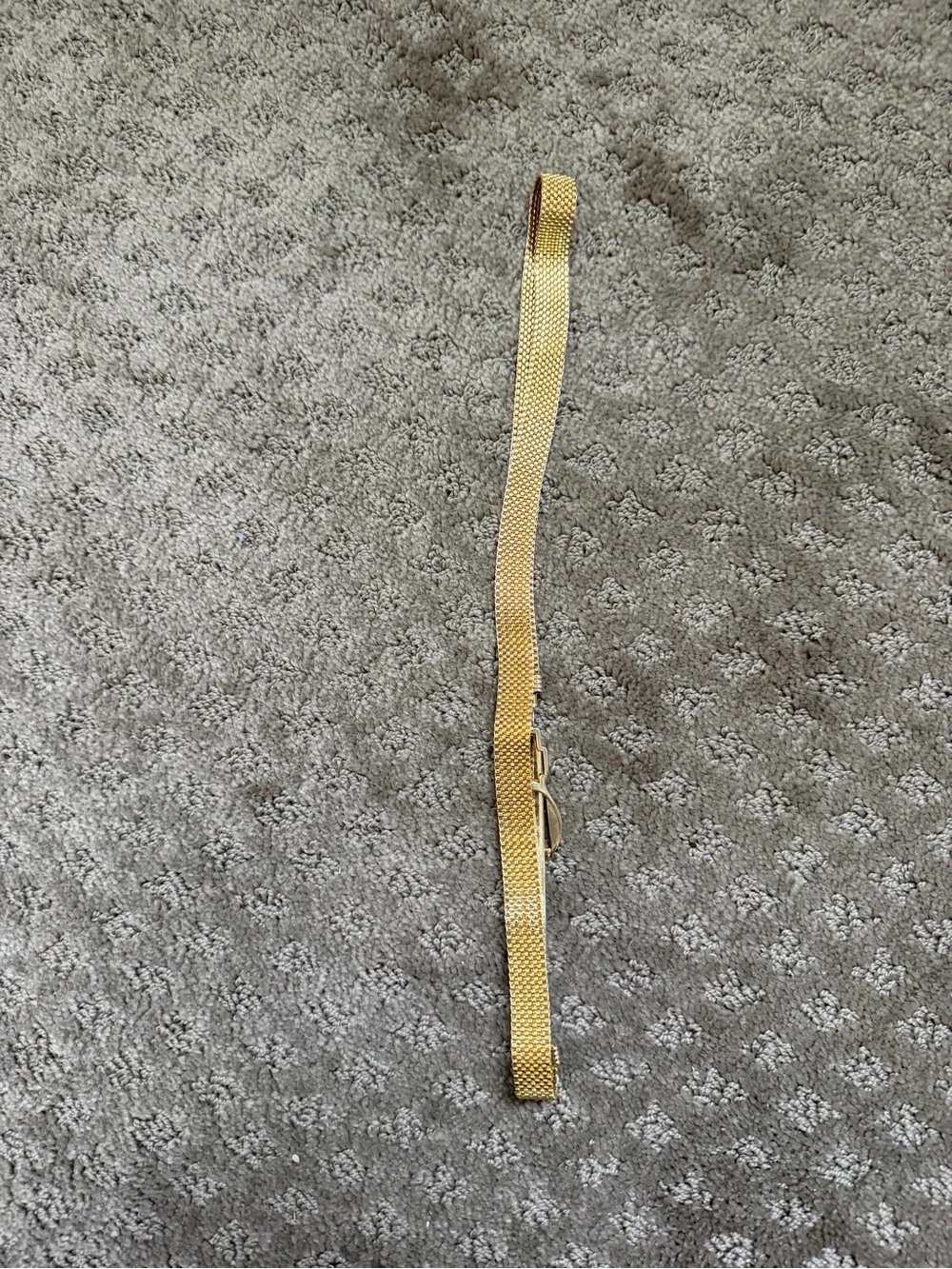 Women's Slim Gold Mesh Belt with Buckle Accent
